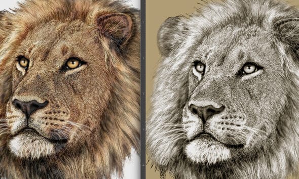 How to Trap Artwork for Screen Printing: 4 Essential Steps to Avoid Gaps and Misregistration