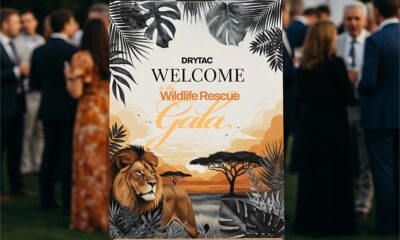 Drytac Launches PaperTac White Matte, a Recyclable Self-Adhesive Paper for Indoor Signage